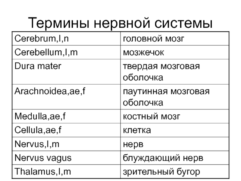 Перевод латинских терминов