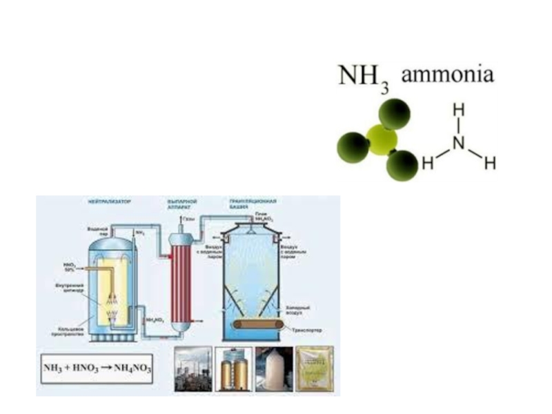 Презентация аммиачная селитра
