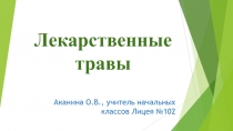 Лекарственные растения, презентация для урока