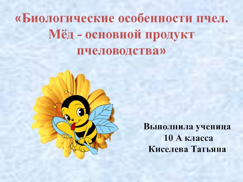 Биологические особенности пчёл.  Мёд - основной продукт  пчеловодства