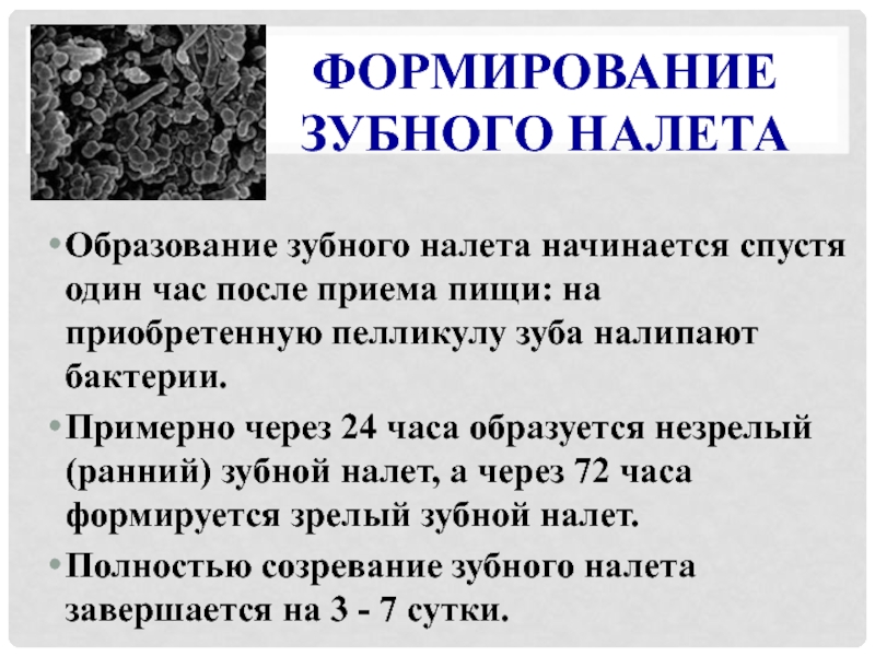 Пелликула зуба это. Образование зубного налета биохимия. Механизм образования зубного налета биохимия. Фазы формирования зубного налета. Этапы образования зубного налета.