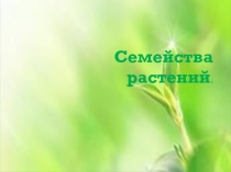 Семейства растений