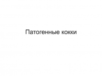 2013 кокки.ppt