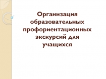 Организация образовательных профориентационных экскурсий для учащихся