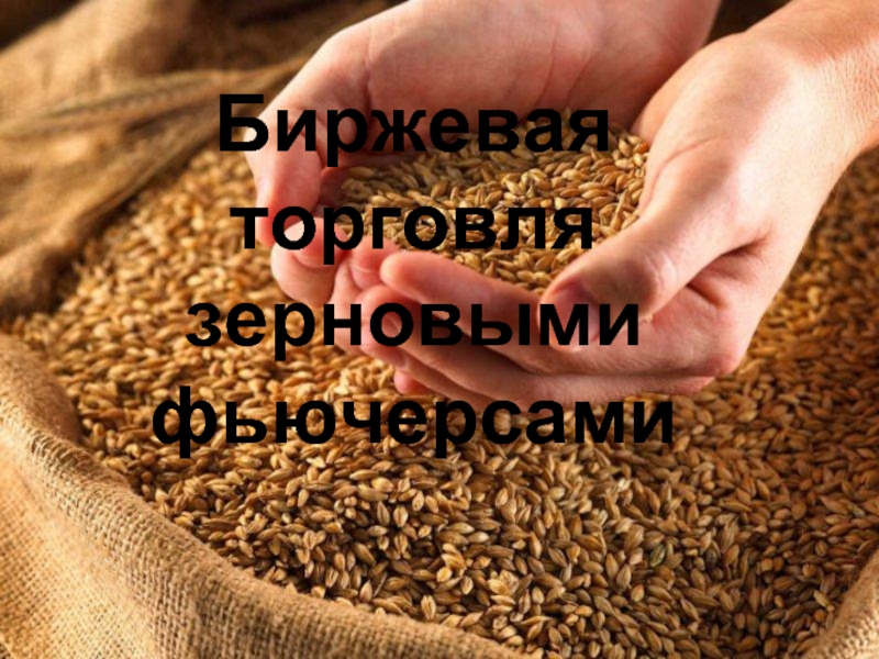 Биржевая торговля зерновыми фьючерсами