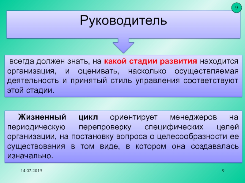 Стадии развития руководителя. Целесообразность бытия.