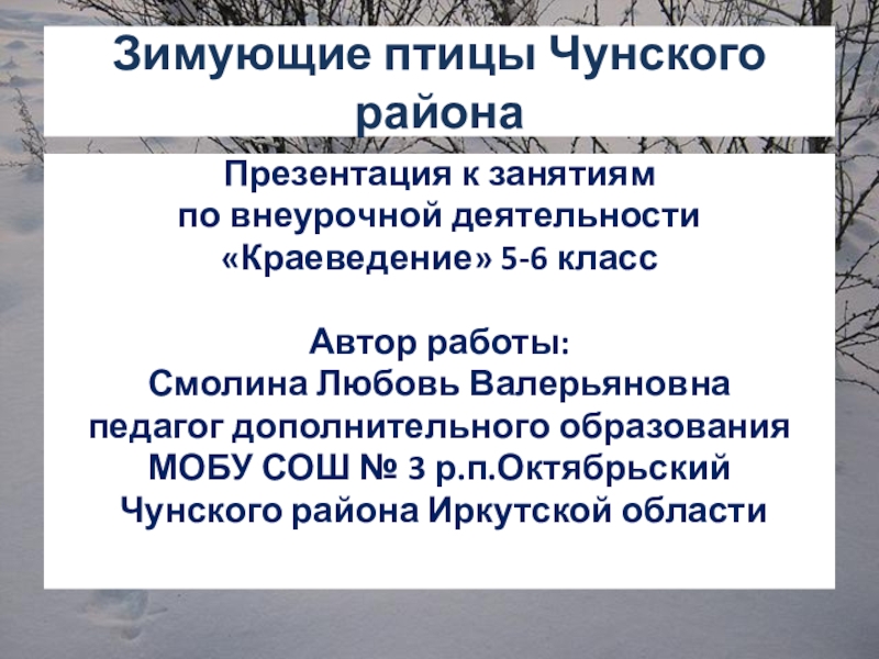 Презентация Презентация к занятию по внеурочной деятельности 