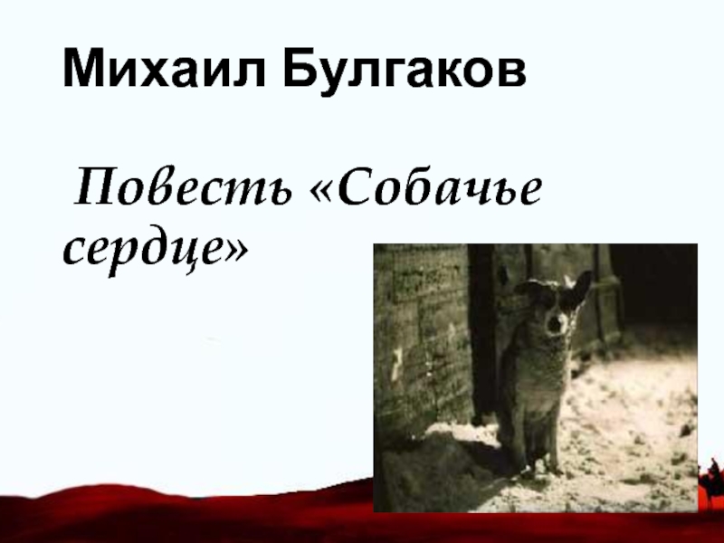 Однородные предложения из повести собачье сердце. Крылатые фразы из повести Собачье сердце.