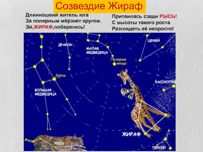 Созвездие жираф схема - 92 фото