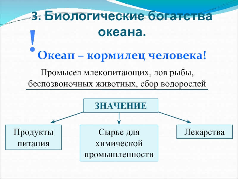 Почему кормилец. Биологические богатства океана. Океан кормилец человека. Объясните фразу океан кормилец человечества. Сообщение океан кормилец человечества.