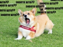 Знаете штоо ??