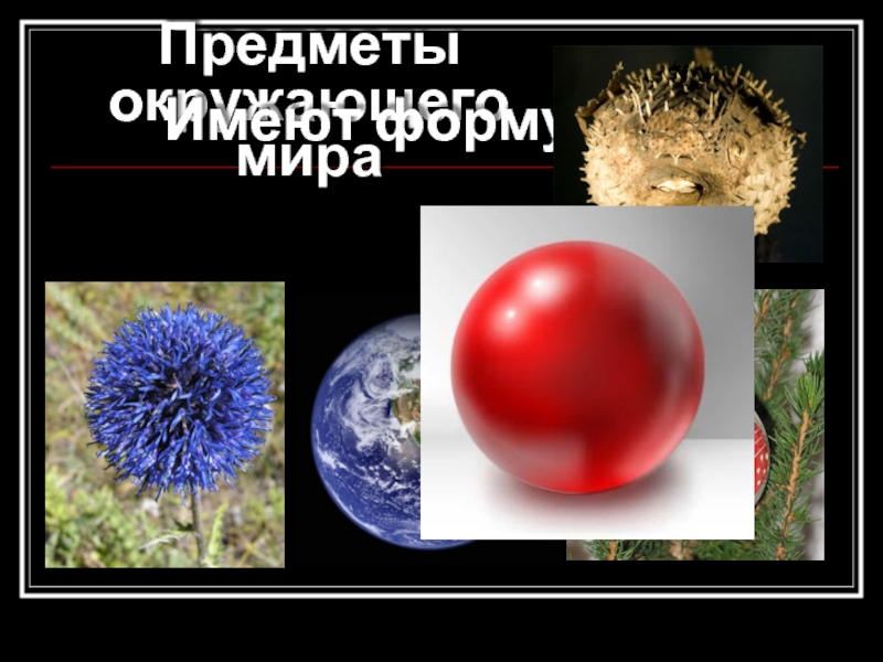 Планета имеющая форму шара. Форма шара в природе. Предметы имеющие форму шара. Предметы которые имеют форму шара.