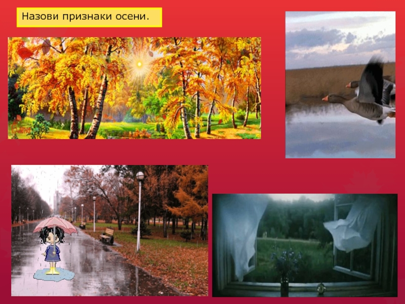 Начался листопад. Признаки осени в городе. Признаки осени 3 класс окружающий мир. 5 Признаков осени в природе. 10 Признаков осени.