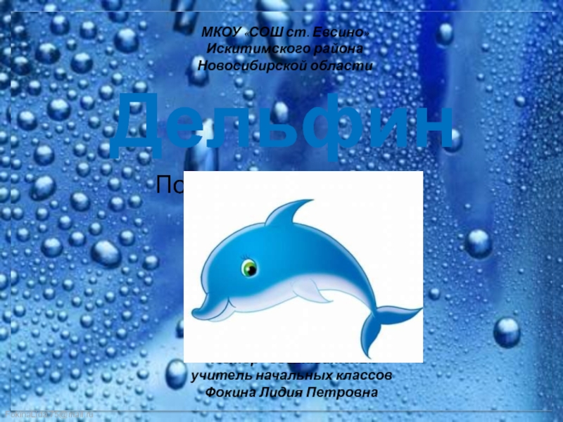 Дельфин. Поэтапное рисование 1 класс