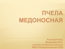 Проектно-исследовательская работа 