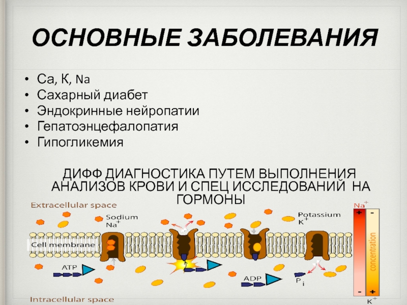 Диагностика пути