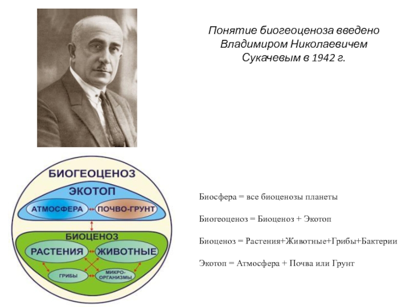 Выдвинуть концепцию. Владимир Николаевич сукачёв биоценоз. Учение о биогеоценозе. Биоценоз биогеоценоз Биосфера. Понятие биогеоценоз.