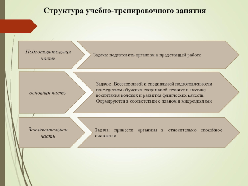 Педагогические правила рационального построения тренировочного процесса. Части учебно-тренировочного занятия. Формы организации тренировки. Построение тренировочного занятия. Формы проведения тренировочного процесса.