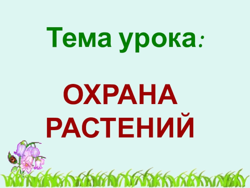 Проект охрана растений