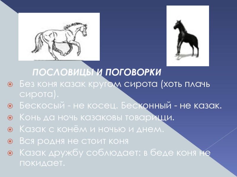 Пословица конь. Пословицы про лошадей. Без коня казак кругом. Пословицы и поговорки про коня. Пословицы и поговорки о лошадях.