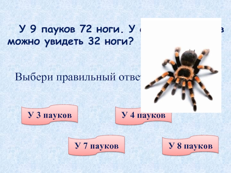 Ног у паука. Сколько ног у паука. Паук 8 ног. Сколько ног у паука ответ. Сколько ног у пауков.