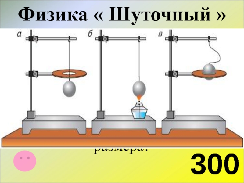 Физика в биологии