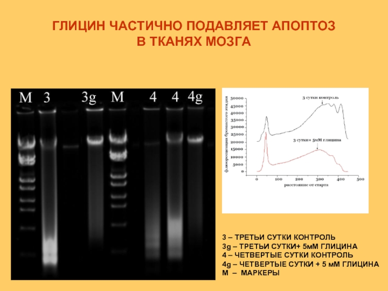 Четвертые сутки