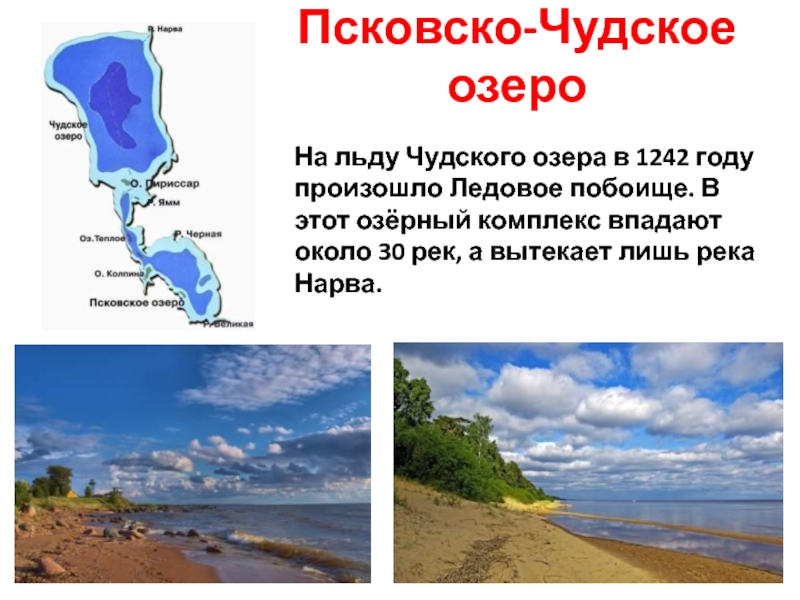 Чудско псковское озеро третье по величине. Псковско-Чудское озеро. Территория Чудского озера. Тип Чудско Псковского озера. Чудское озеро географическое положение.