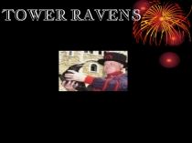 Tower ravens