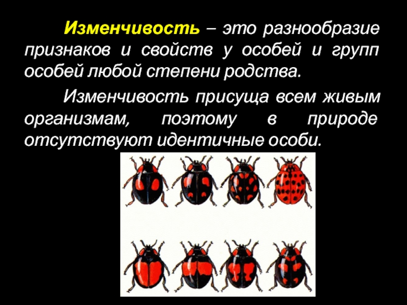 Презентация 9 класс изменчивость организмов