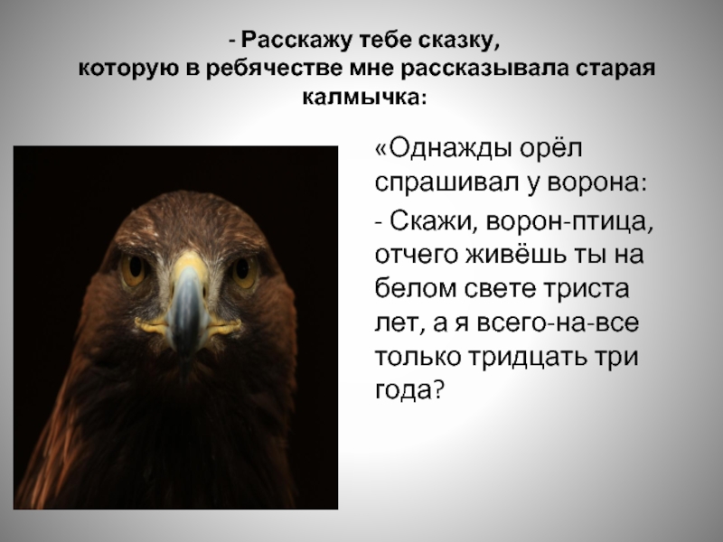 Капитанская дочка сказка об орле. Расскажу тебе сказку которую в ребячестве. Однажды Орел спрашивал у ворона. Орёл спрашивал у ворона. Однажды Орел спрашивал у ворона скажи ворон-птица.