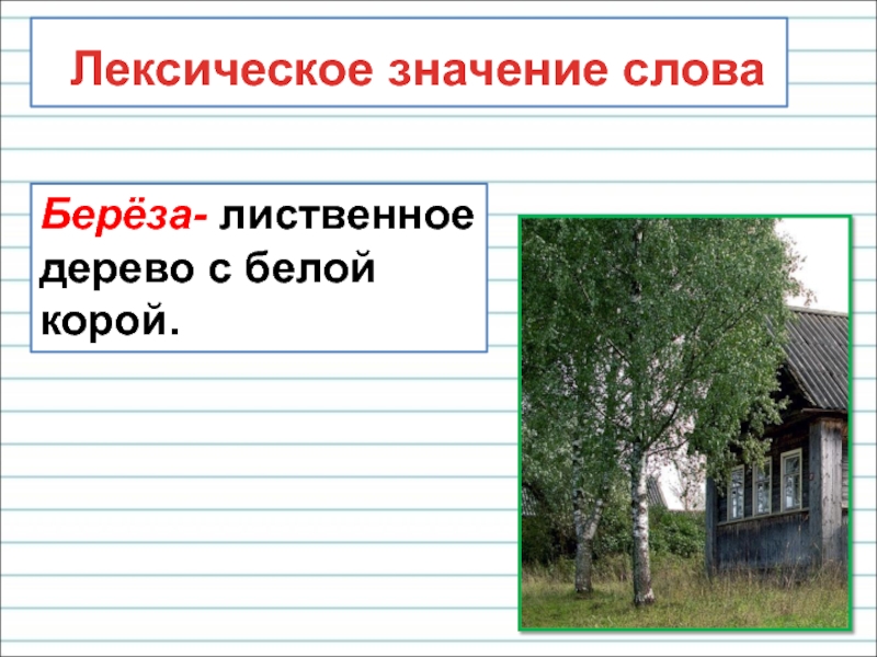 Презентация Лексическое значение слова
Берёза- лиственное дерево с белой
корой