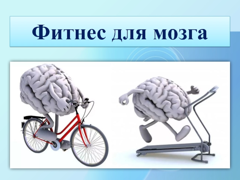 Фитнес для мозга