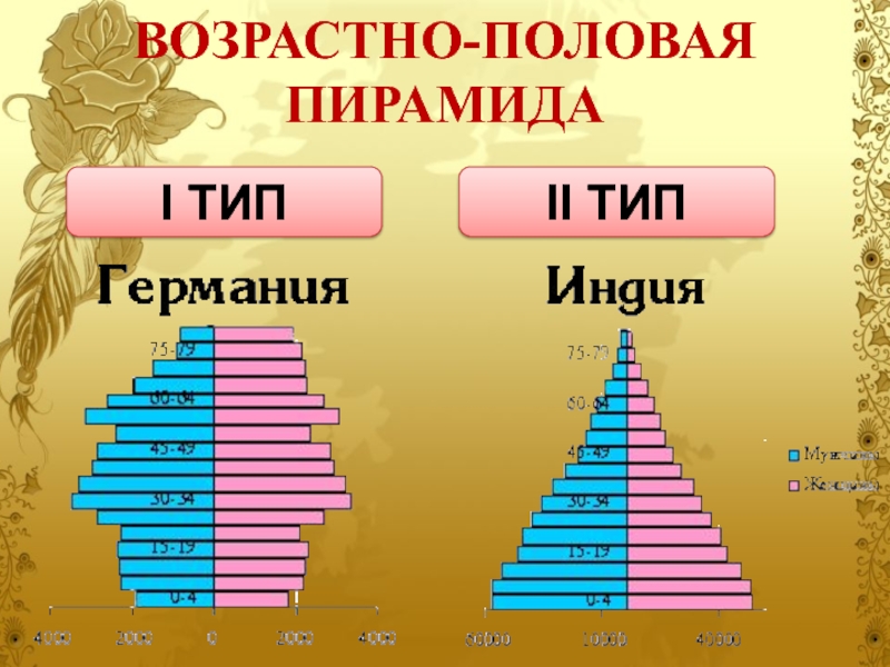 Типы половозрастных пирамид. Половозрастная пирамида инди. Возрастно половая пирамида Индии. Возрастно половой состав Германии пирамида. Возрастно половые пирамиды.