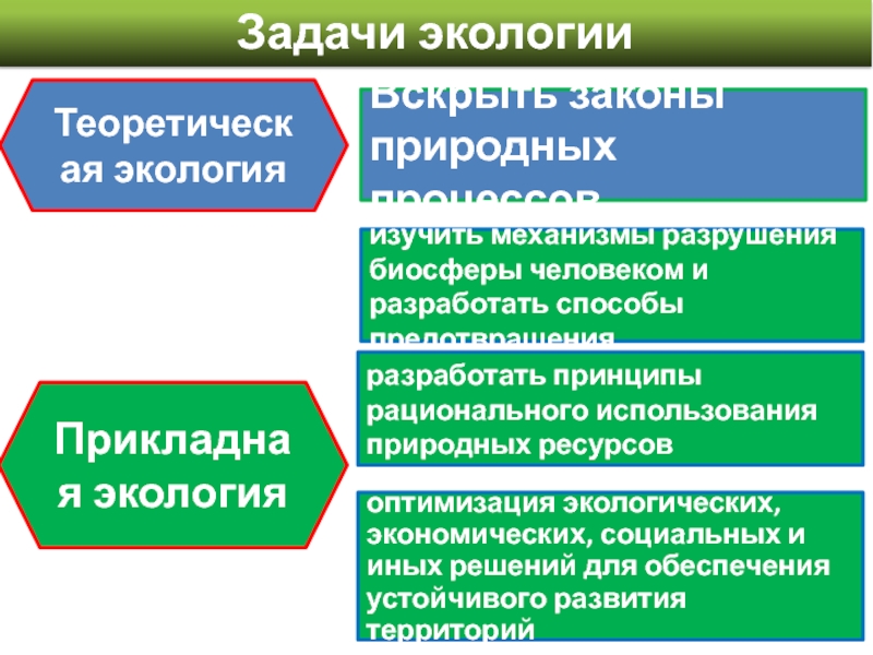 Задачи экологии. Теоретическая экология. Задачи экологии перечислить. Задачи прикладной экологии. Задачи экологии человека.