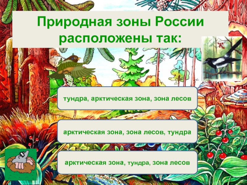 1 вариант в лесу. Природные зоны России расположены так. 1. Природные зоны России расположены так:. Природныеи ЗОНЫРОССИИ расположены так.