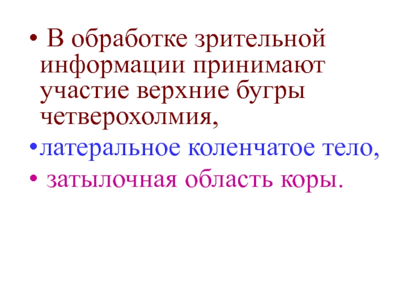 Переработка информации в зрительной коре. Обработка зрительной информации.