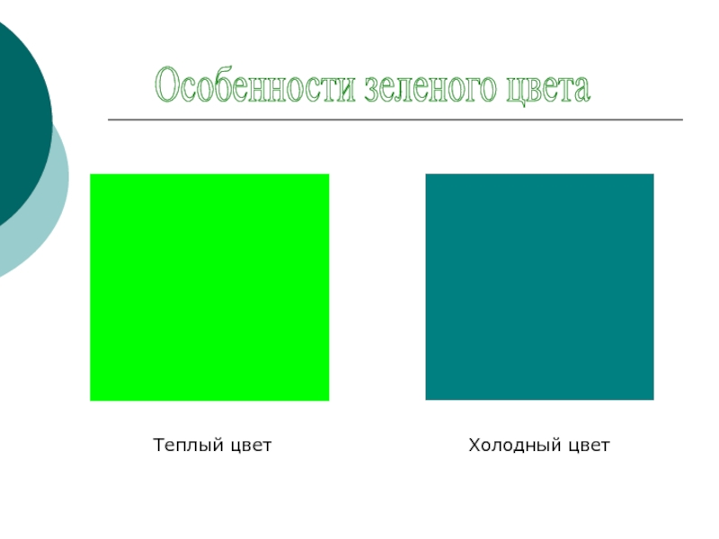 Особенности зеленого цветаТеплый цветХолодный цвет