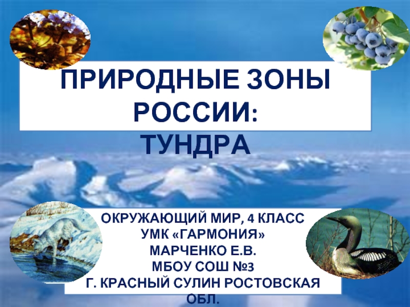 Презентация Природные зоны России: Тундра (4 класс)