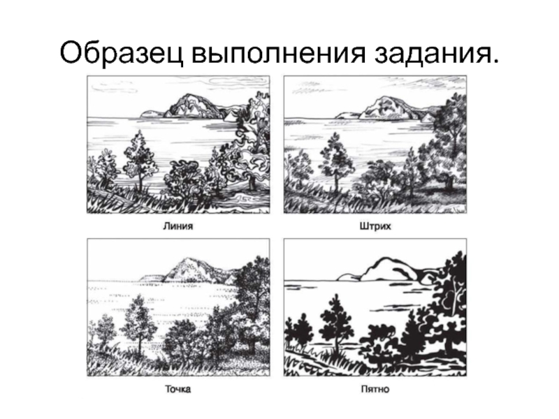 Практические задания по рисунку