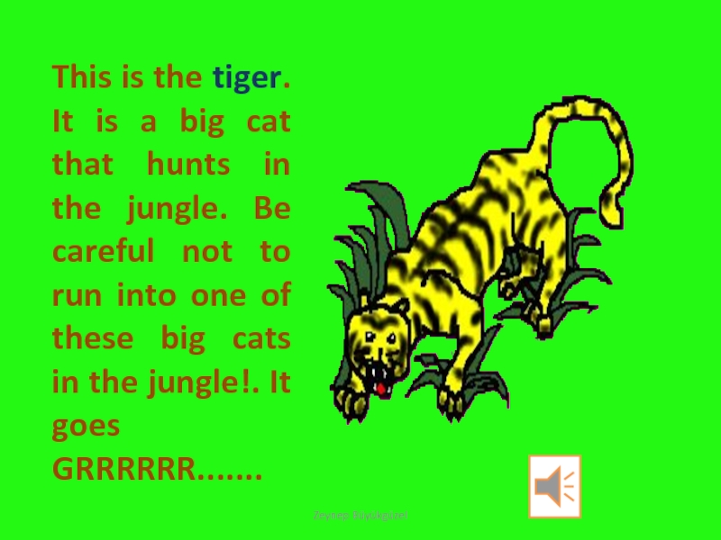 This is the tiger. It is a big cat that hunts in the jungle. Be careful not