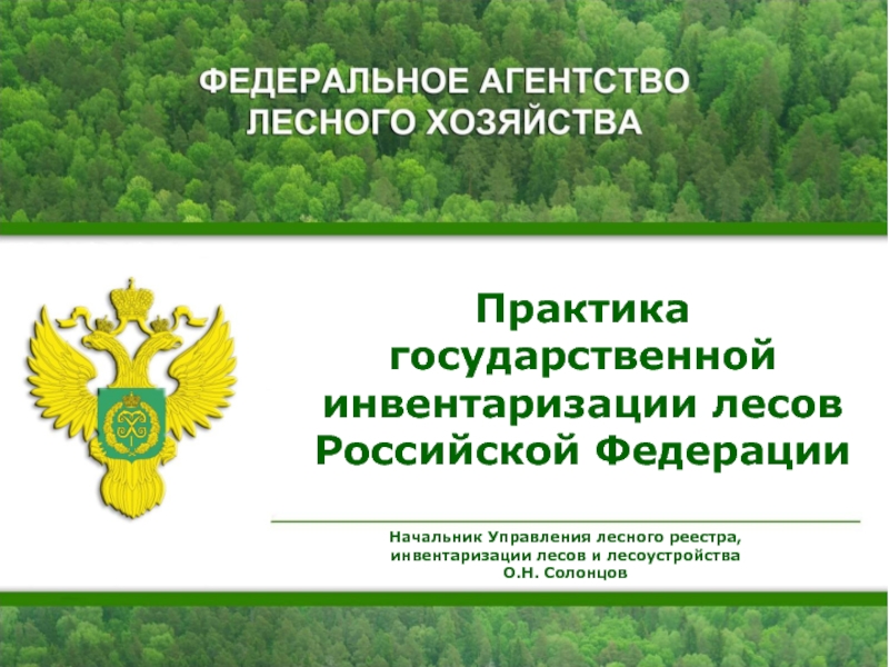 Презентация Практика государственной инвентаризации лесов Российской Федерации