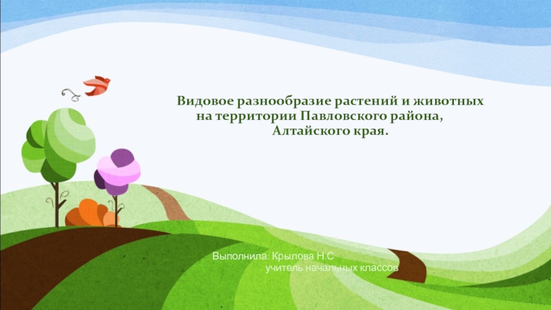 Видовое разнообразие растений и животных на территории Павловского района, Алтайского края