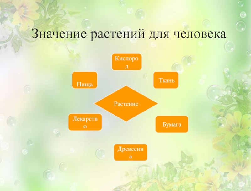 Схема что дают растения человеку. Значение бумаги для человека. Значение травы для человека. Значение растений для художника. Значение растений для музыканта.