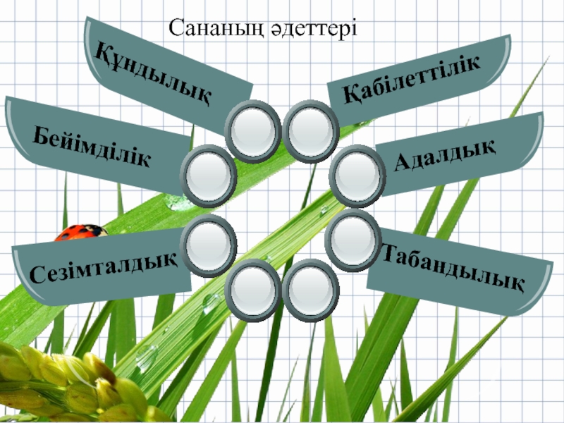 Оян ар мен адалдық. Казакта семья адалдық.