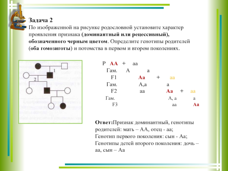 По изображенной на рисунке родословной установите характер проявления признака доминантный или