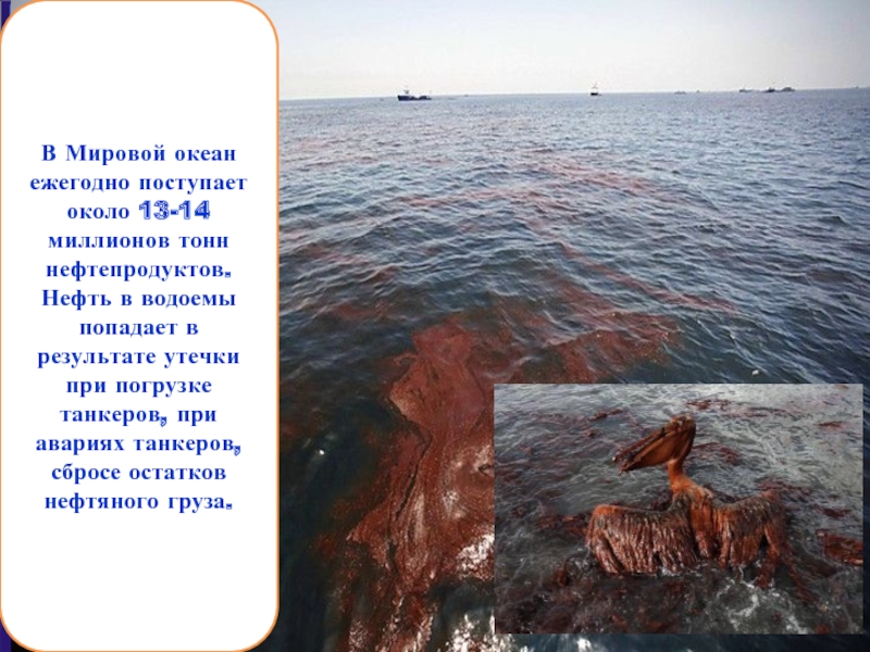 В Мировой океан ежегодно поступает около 13-14 миллионов тонн нефтепродуктов. Нефть в водоемы попадает в результате утечки