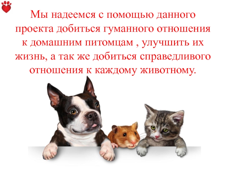 Формирование в обществе ответственного отношения к животным. Гуманное отношение к животному. Беседа о гуманном отношении к животным. Памятка отношение к животным. Гуманное отношение к животным презентация.