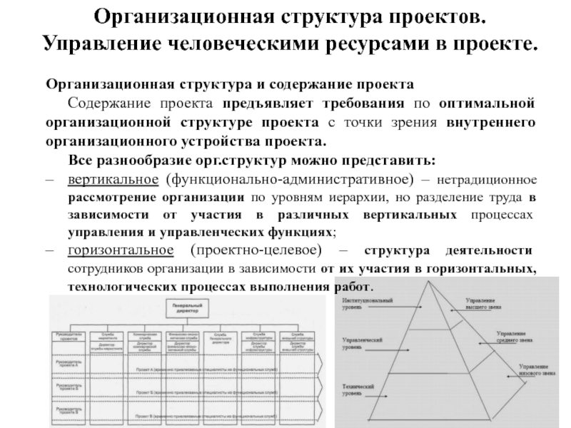 Организационная структура проектов. Управление человеческими ресурсами в