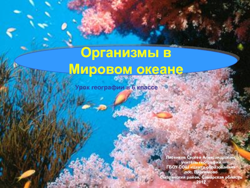 Презентация Организмы в Мировом океане
